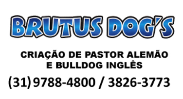 Brutus Dog's